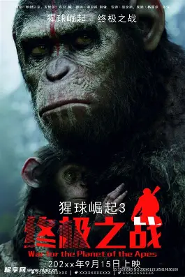 赘婿小说封面